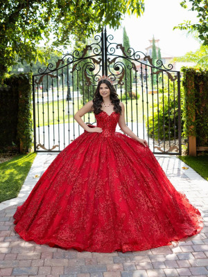 LizLuo Fiesta 56527 Classic Sweetheart Quince Dress