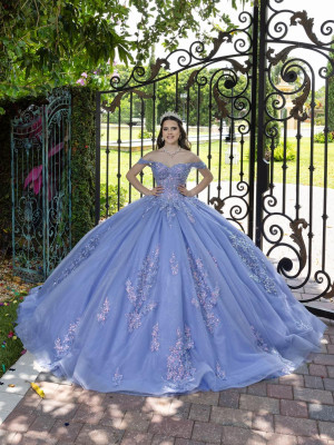 LizLuo Fiesta 56529 Fairytale Quinceanera Dress