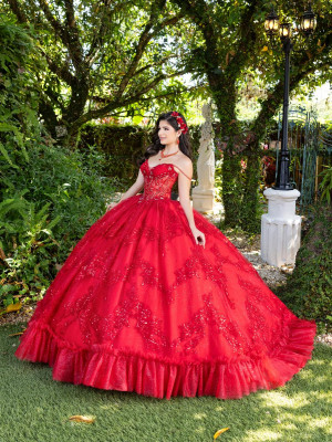 LizLuo Fiesta 56531 Stunning Lace Quince Dress