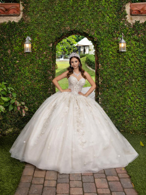 LizLuo Fiesta 56532 Gorgeous Princess Quince Dress