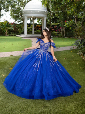 LizLuo Fiesta 56535 Fantasy Quinceanera Dress