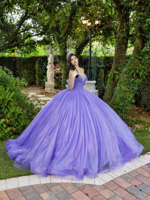 LizLuo Fiesta 56537 Exquisite Quinceanera Dress