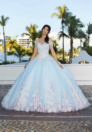 Valencia 60165 Fairytale Quinceanera Dress