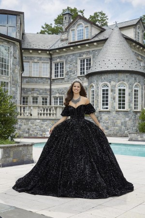 Valencia 60171 Glittering Sequin Velvet Quinceanera Dress