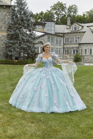 Size 2 Blue Orchid Valencia 60174 Fairytale Princess Sleeve Quinceanera Dress