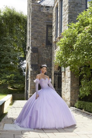 Vizcaya 89334 Quinceanera Dress with Feather Sleeves