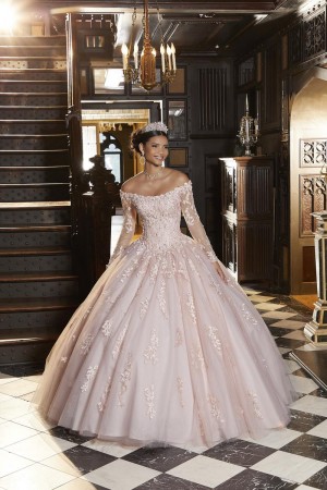 Vizcaya 89339 Romantic Long Sleeve Quince Dress