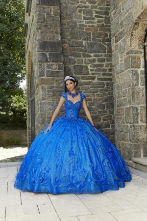 Size 4 Royal Vizcaya 89343 Glitter 3D Flower Quinceanera Dress