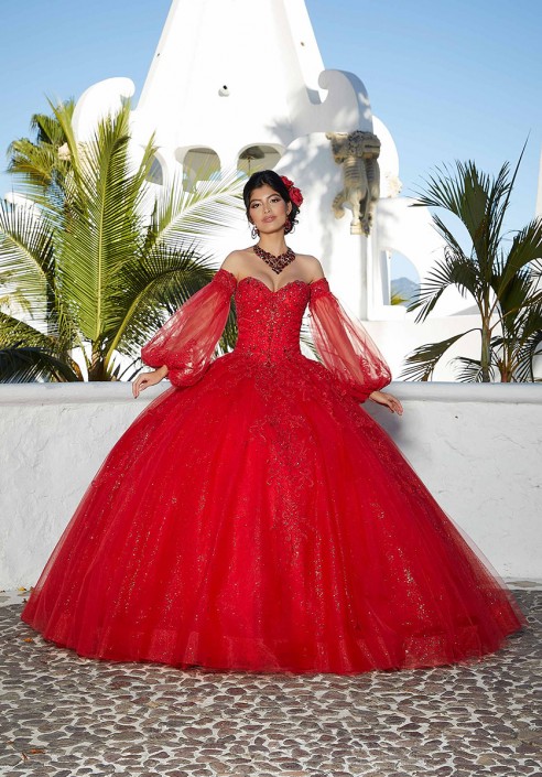 French Novelty Vizcaya 89359 Elegant Quinceanera Dress