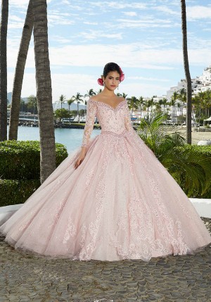 Vizcaya 89360 Beautiful Quinceanera Dress