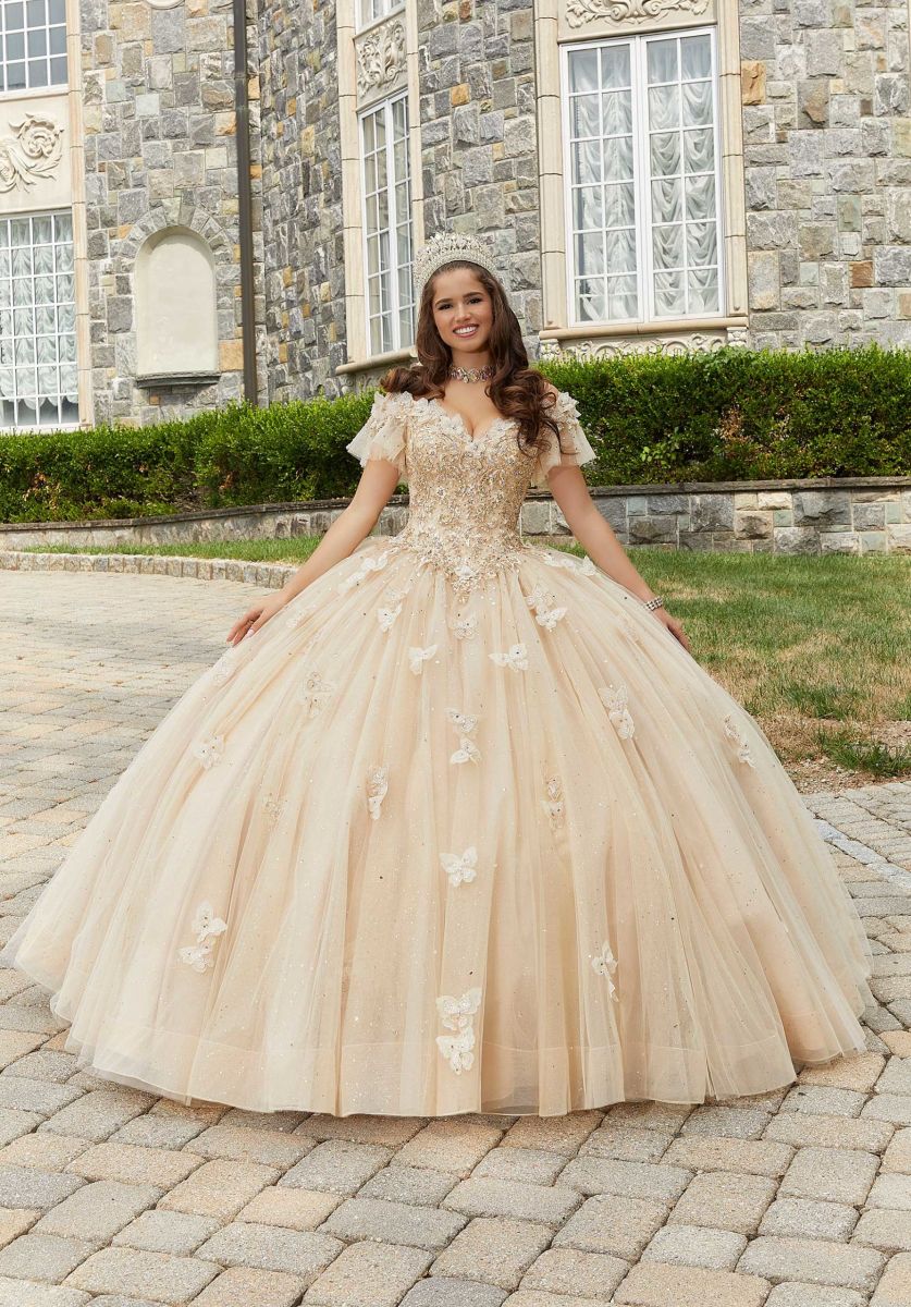 House of Wu 24066 Butterfly Appliques Quinceanera Dress