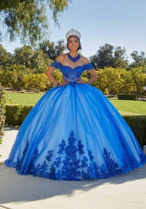 Vizcaya Quinceanera Dresses by Mori Lee
