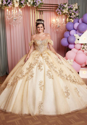 Vizcaya 89520 Gorgeous 3D Floral Quinceanera Dress