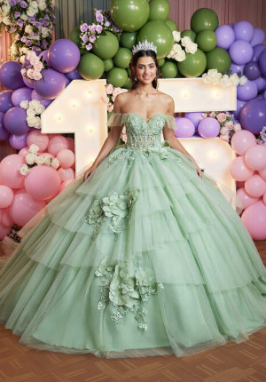 Vizcaya 89522 Whimsical Ruffle Off Shoulder Ball Gown