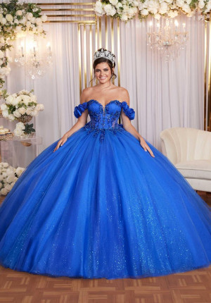 Vizcaya 89523 Stunning 3D Rosette Quinceanera Dress