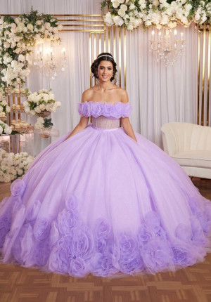Vizcaya 89524 Lovely Sheer Boned Bodice Ball Gown