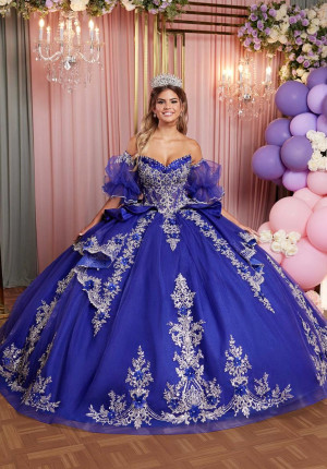 Vizcaya 89526 Beautiful Shimmer Quinceanera Dress