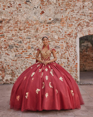Vizcaya 89533 Ashley Quinceanera Dress