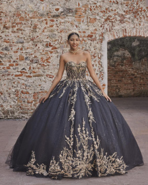 Vizcaya 89534 Aliea Quinceanera Dress