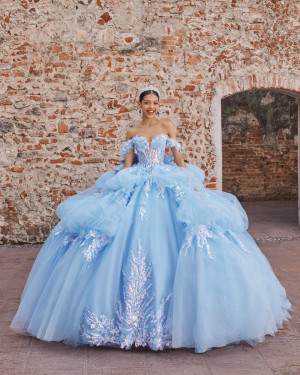 Vizcaya 89536 Alaina Quinceanera Dress