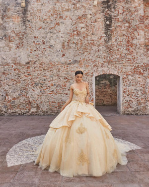 Vizcaya 89537 Audrey Quinceanera Dress