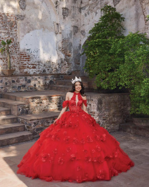 Vizcaya 89538 Alessandra Quinceanera Dress