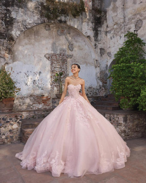 Vizcaya 89542 America Quinceanera Dress