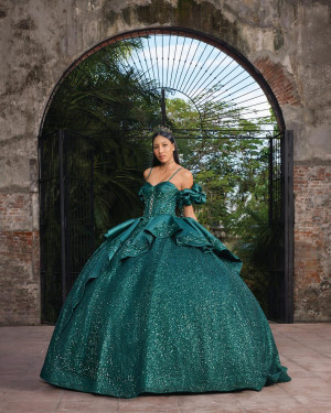 Vizcaya 89543 Ariel Quinceanera Dress