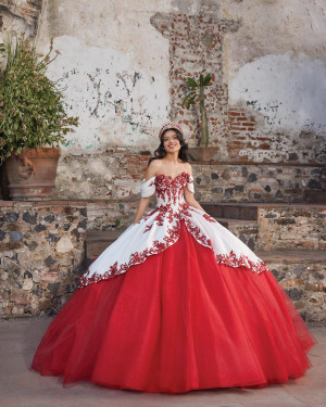 Vizcaya 89544 Aracely Quinceanera Dress