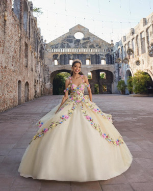 Vizcaya 89545 Austyn Quinceanera Dress