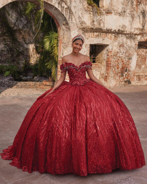 Vizcaya 89547 Amelia Quinceanera Dress