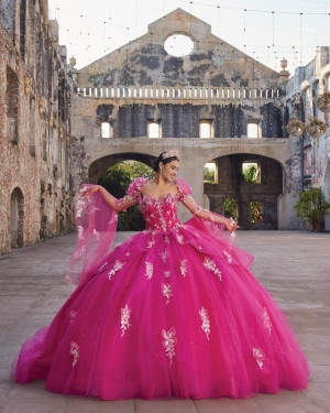 Vizcaya 89548 Andrea Quinceanera Dress