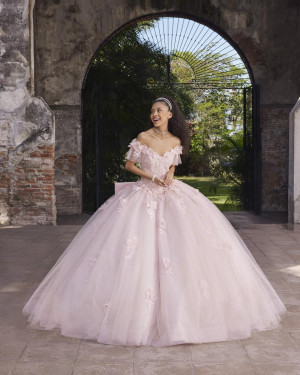 Vizcaya 89549 Ana Quinceanera Dress