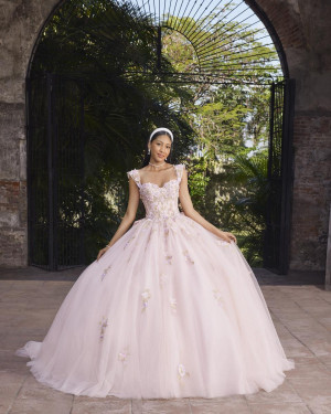 Vizcaya 89550 Aminita Quinceanera Dress