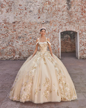 Vizcaya 89552 Angelica Quinceanera Dress
