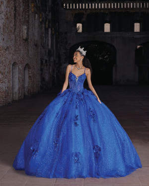 Vizcaya 89553 Alexis Quinceanera Dress