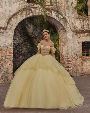 Vizcaya 89554 Aubree Quinceanera Dress