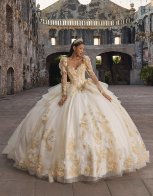 Vizcaya 89558 Antonella Quinceanera Dress