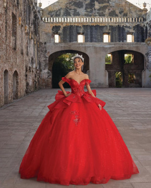 Vizcaya 89559 Angela Quinceanera Dress