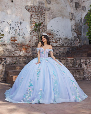 Vizcaya 89560 Anahi Quinceanera Dress