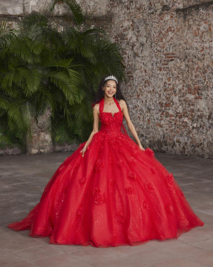 Vizcaya 89562 Anastasia Quinceanera Dress