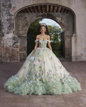 Vizcaya 89566 Aurora Quinceanera Dress