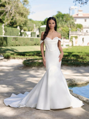 Adrianna Papell Platinum 31340W Plus Size Gown with Pearl Lace Sides