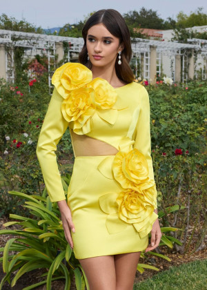 Ashley Lauren 4805 Reception Party Dress With Long Sleeve Fitted