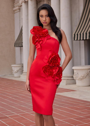 Ashley Lauren 4814 Formal Party Dress With One Shoulder Satin Fitted