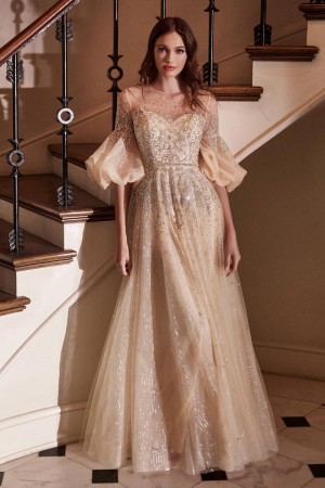 Ladivine B703 Gorgeous A-Line Evening Dress