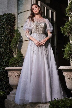 Ladivine B707 Stunning Illusion Evening Gown