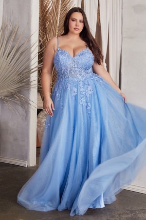 Ladivine C148C Plus Size Prom Dress