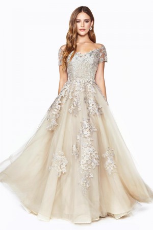 Ladivine C20 Feminine Floral Lace Prom Dress
