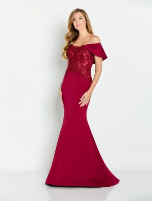 Cameron Blake CB147 Beautiful Mother of Bride Gown